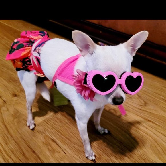 🌺Fit Warm Swim 2 Piece Outfit - Picture 2 of 5